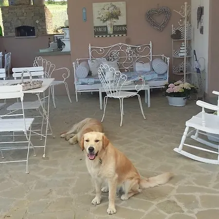 A Modo Mio Bed & Breakfast *