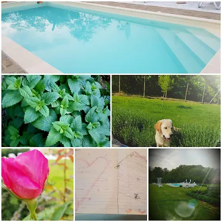A Modo Mio Bed & Breakfast Strevi